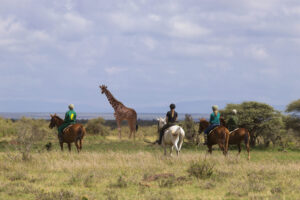 Elewana Loisaba Tented Camp
